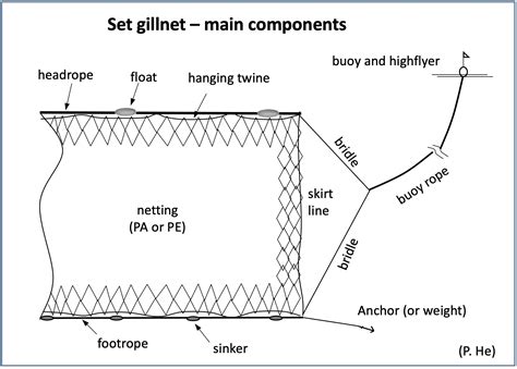 A Type Of Fish Net in Tagalog.
